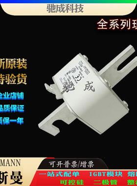 巴斯曼170M6219 170M6220 170M6221 原装进口价优 低压熔断器