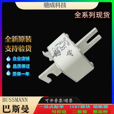 巴斯曼170M6219 170M6220 170M6221 原装进口价优 低压熔断器