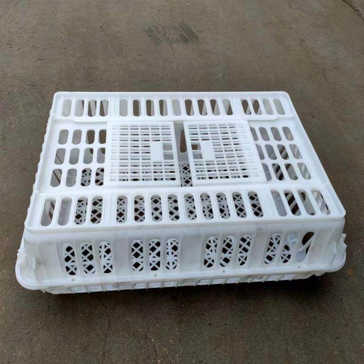 鸡筐 抗摔鸡鸭运输筐 鸡笼子厂家 拉鸡笼子 专业生产大鸡筐