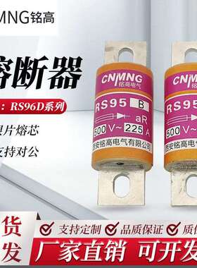 半导体设备保护用快速熔断器RS95BAC500V225A圆管螺栓连接熔断体
