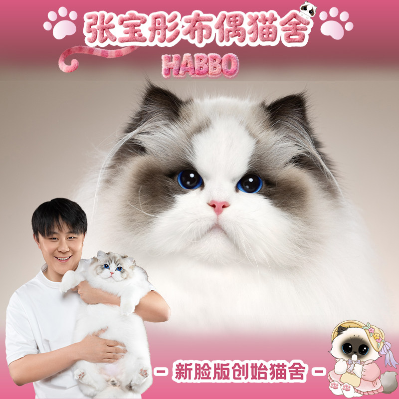 张宝彤布偶猫舍｜新脸版布偶猫宠物级猫咪活物幼崽—哆啦a梦妹妹