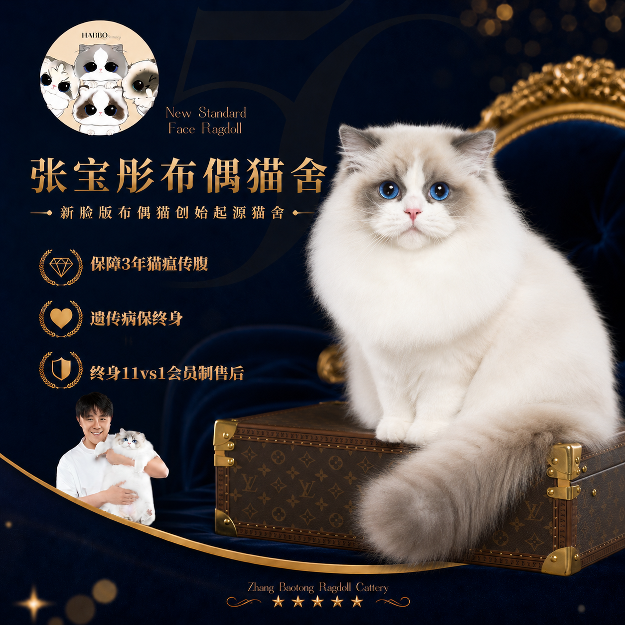 张宝彤布偶猫舍|新脸版布偶猫宠物级猫咪活物幼崽—松果弟弟