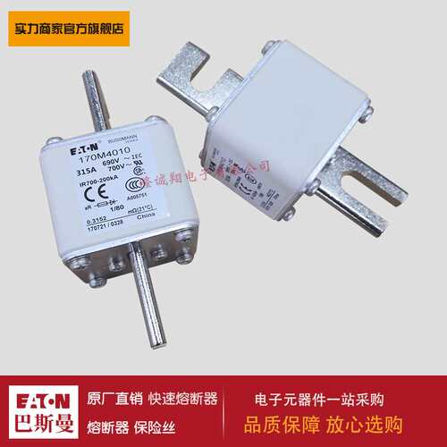 熔断器170M4008 170M4009 170M4010 170M4011 170M4012 170M4013