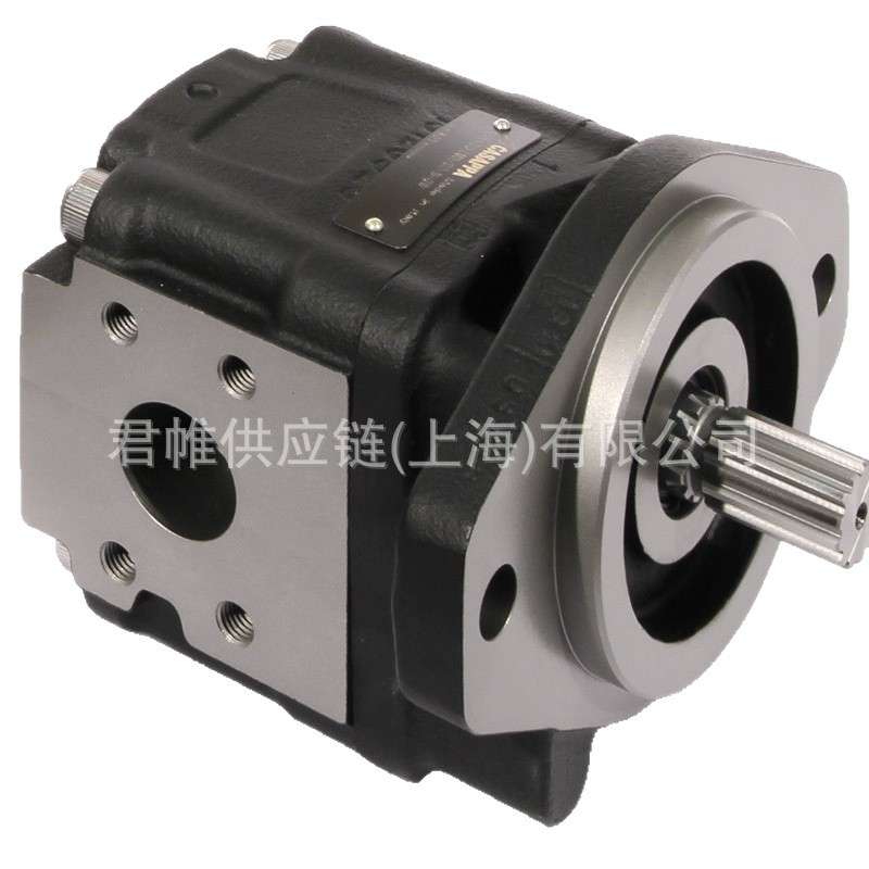价格需核实 CASAPPA 泵 型号:PLM20.5,5D0-54B2-LOB/OB-N-EL