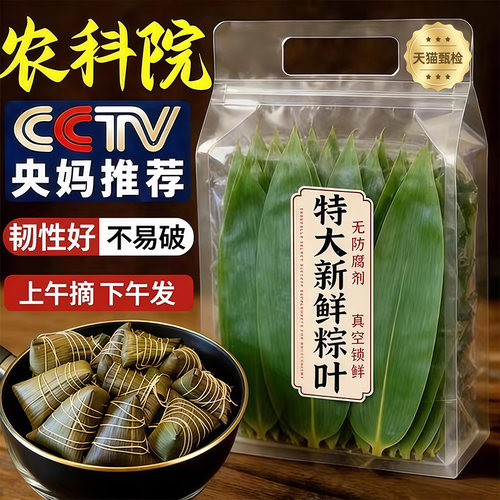 农科院推荐新鲜粽叶粽香浓郁