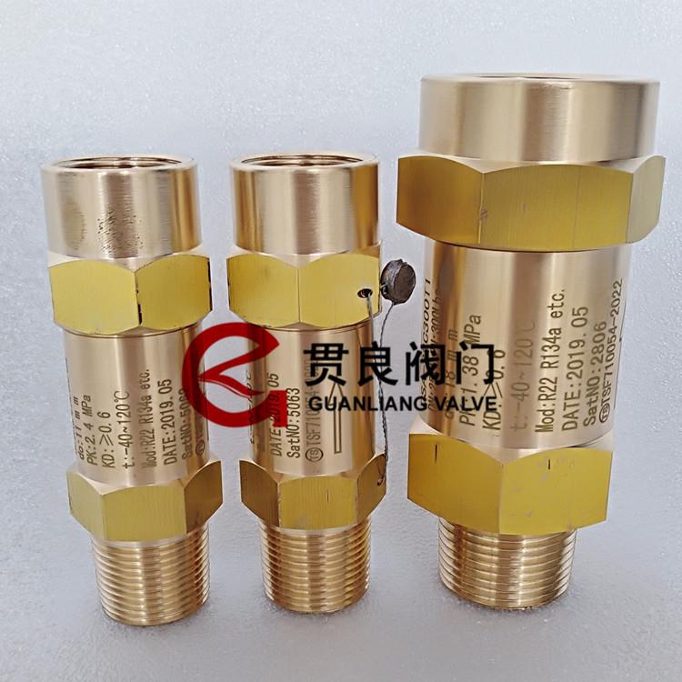 制冷蒸发器安全阀11EE11MN-TF11EH13MN-TF冷凝器氟利昂DN20非标