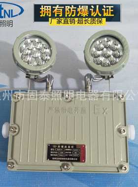 供应BCJ52-2*3W防爆应急灯LED防爆应急灯 粉尘防爆双头应急灯