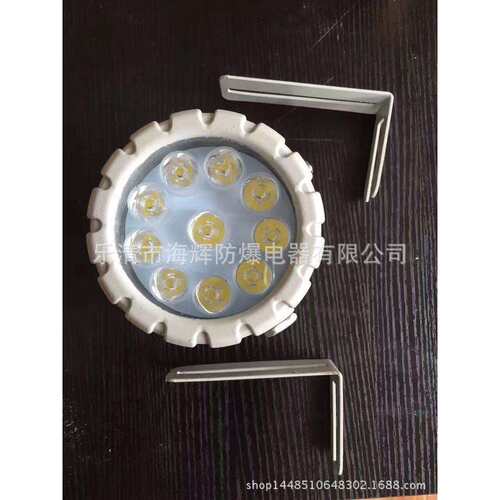 BAK51-20 系列隔爆型防爆视孔灯(IIC)