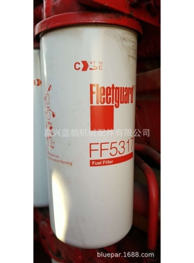 燃油滤芯FF5317 适用船用发动机柴油滤芯FF5317  1R0755