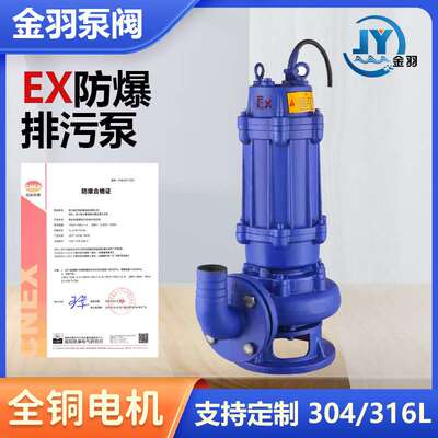 BQW50-10-10-0.75潜水排污泵 WQB国标EX加油站煤矿防爆潜污泵