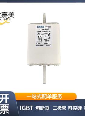 170M5147 170M5148 快速熔断器 保险丝 电子元器件 量大价优