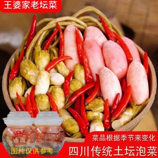 王婆家老坛菜四川泡菜什锦老坛子母水儿菜仔姜藠头萝卜豆角辣椒
