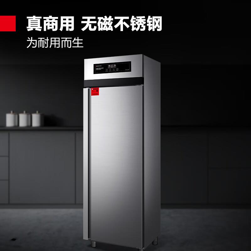 德玛仕 商用消毒柜二星级高温消毒不锈钢立式热风可调温单门高柜