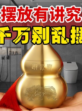 避水兽瓶子卫生间厕所在西北摆件水淹天门东南门对安忍水荷花挂件