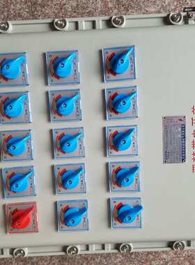 BXM51-12/16K125防爆型照明配电箱防爆绕线管防爆控制箱防爆灯