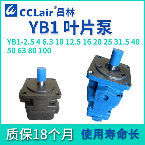 YB1-2.5 4油泵6.3叶片泵10 12 16 20 25 32 40 YB1-50 63 80 100
