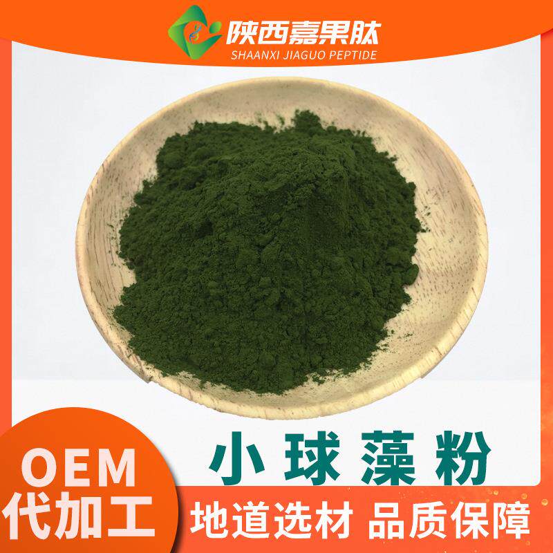 小球藻粉 98%现货供应 1kg包装 绿藻提取物 破壁蛋白核小球藻粉