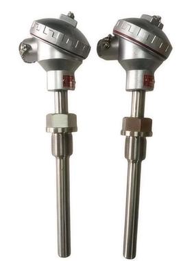 WRCK-288 WRCK-292T型铠装热电偶精密壁挂式防腐衬四氟温度探杆