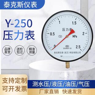 泰克斯Y250普通压力表大表盘2.5MPa大设备专用高精度真空压力表