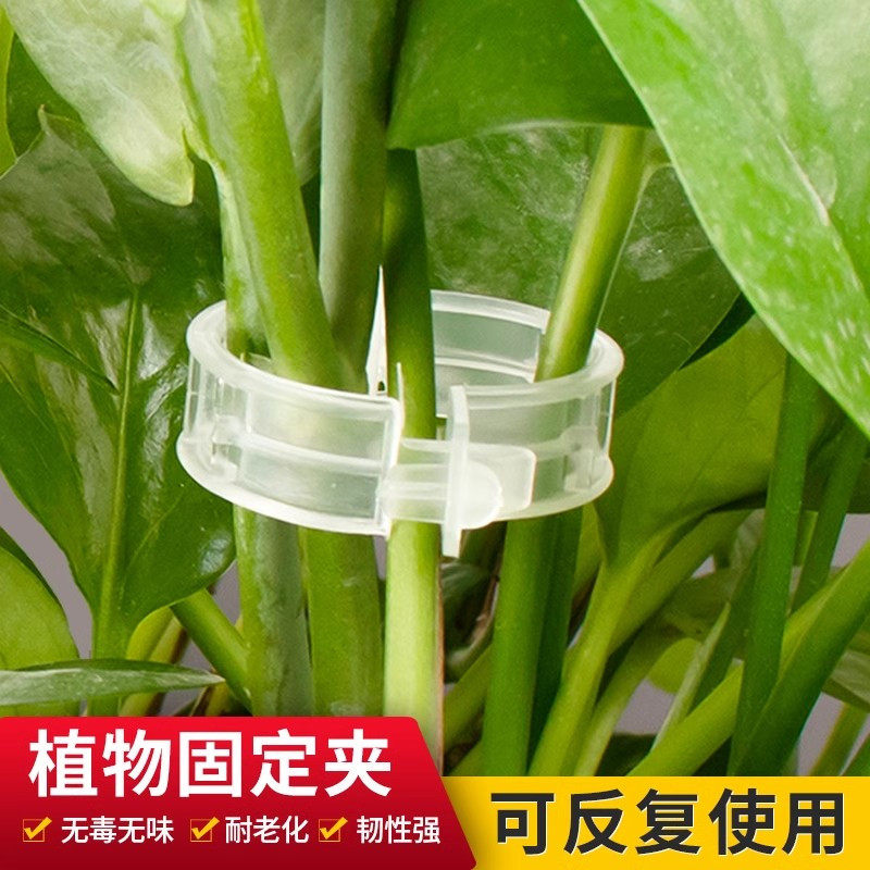 植物瓜果夹塑料绑蔓夹绑枝夹吊蔓夹扶蔓西红柿夹藤蔓固定夹大棚