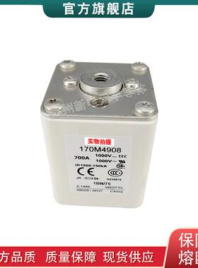 170M4926 4927 4928 4929 4930 巴斯曼bussmann快速熔断器保险丝