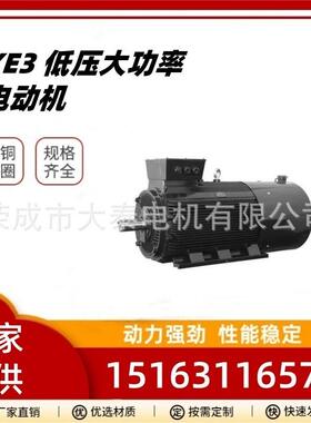 华力众泰大泰出口东南亚YE3-400-6-6-355kw全铜立式风机水泵电机