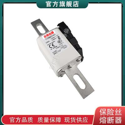 170M3720 170M3721 170M3722 170M3723巴斯曼bussmann快速熔断器