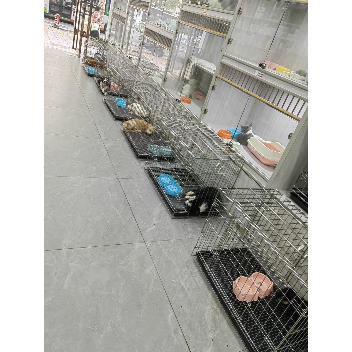 嘉盈内销款不锈钢笼狗笼猫笼折叠笼鸽子兔子鸡舍笼中小型宠物用品