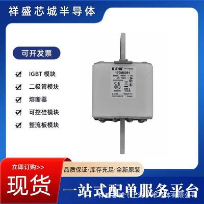 快速熔断器170M6147 170M6148规格齐全 现货包邮 量大优惠