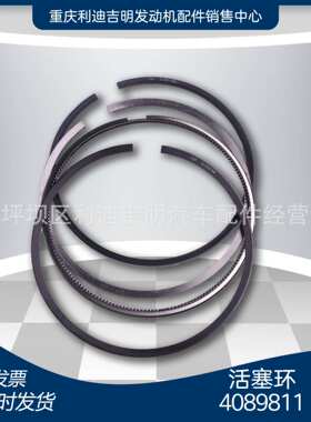 适用于NT855 双金珞活塞环 4089811 3803471