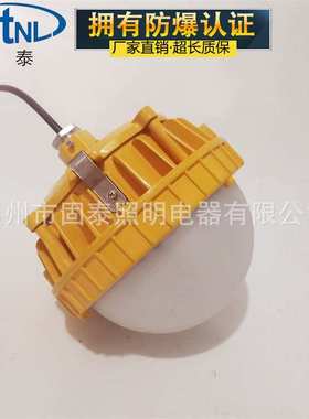 SW7151-50W防爆LED泛光灯 平台灯 护栏式 吸顶式