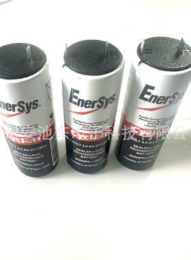 西   cyclom 蓄电池0860-0004 2V4.5AH