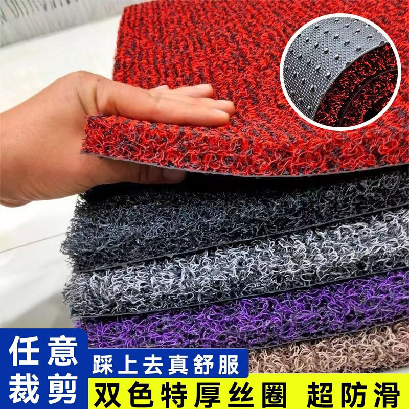丝圈地垫进门地垫入户门大门门口圈蹭踩地毯家用门厅入门户外门垫