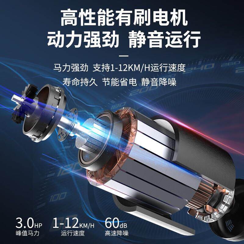 迈宝赫 跑步机家用智能折叠跑步机可折叠免安装减震LT01