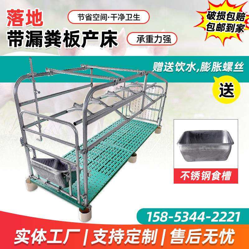 落地式母猪产床不锈钢槽产保两用单体母猪带漏粪板简易单体产床