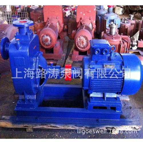 供应65ZW25-30污水自吸泵ZW自吸泵不锈钢排污泵380V自吸泵