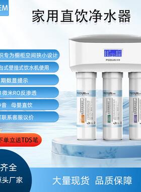 家用反渗透净水器直饮纯水机卡接式非标滤芯100G净水机厂家RO膜