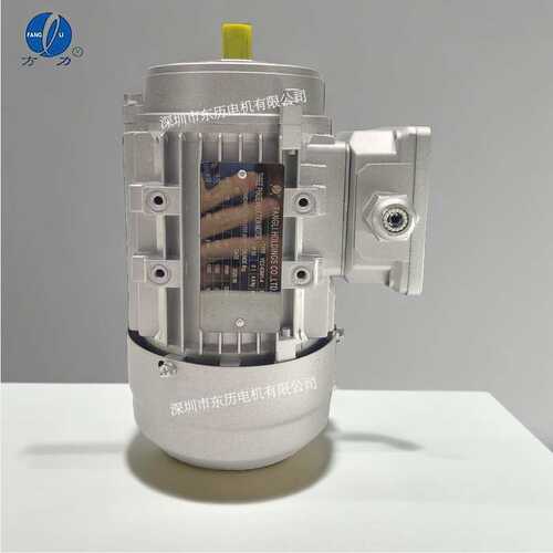 FANGLI HOLDINGS方力立式B14小法兰电机YE2-63M1-4 0.12KW马达380