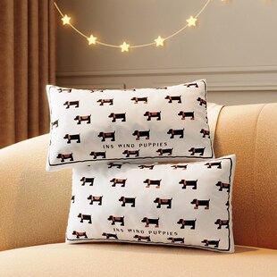 卡通多巴胺抱枕h可爱沙发枕套长条椅子腰枕长方形腰靠可拆洗靠背