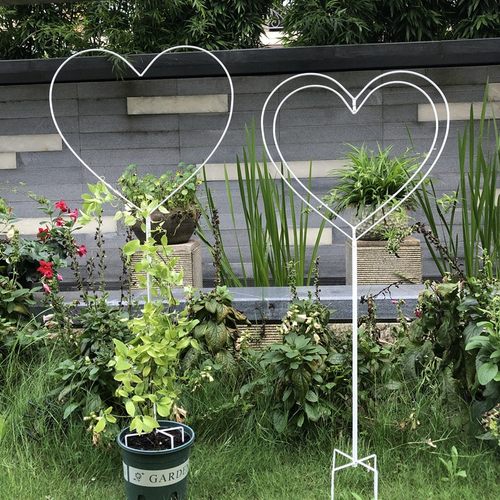 园艺球兰山乌龟铁线莲心形棒棒糖花架F爬藤架子植物攀爬支架支撑