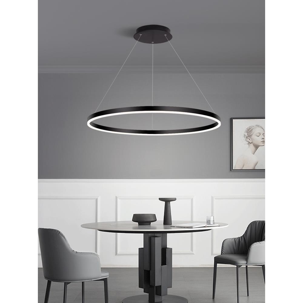 餐厅灯吊灯单环圆形简约现代饭厅极简北欧客厅灯创意吧台商用灯具