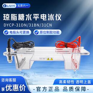 北京DYCP-31DN型琼脂糖凝胶水平垂直电泳仪电源实验室电泳槽