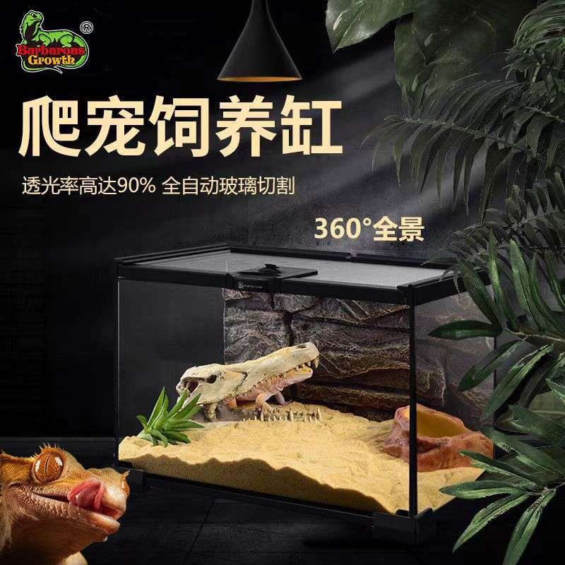 玻璃饲养箱爬虫缸雨林爬宠陆龟守宫蜥蜴角蛙蜘蛛甲虫宠物蛇生态缸