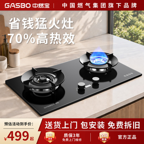 中国燃气中燃宝燃气灶家用双灶天然气液化气猛火煤气灶炉具DQ452