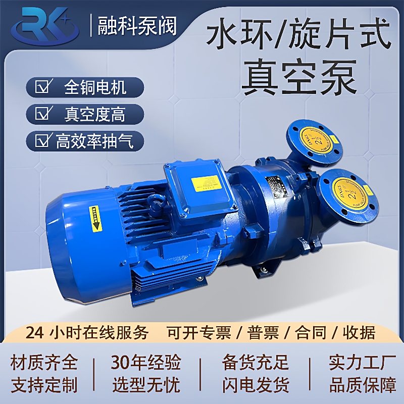2BV5121水环式真空泵型真空一体式泵抽气泵压缩机SK旋片式真空泵