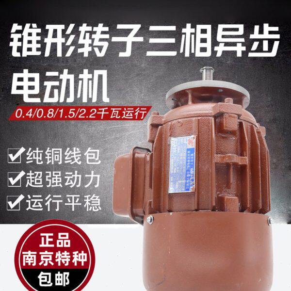 0电动机转子-电机W4K相异步锥形12特种D跑车三型电动葫芦Z4Y南京.