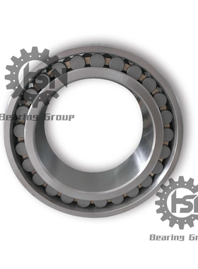 厂家现货 HSN 单列圆柱滚子轴承 20329/500 支持个性化服务