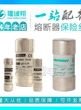 【熔断器保险丝】FR22AM69V6P Y218728 FR22AM69V8P Q219779现货
