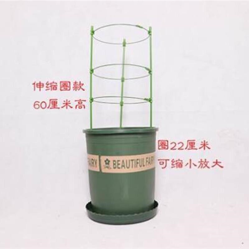 花支撑杆固定欧爪莲花花架文竹月蟹架支架攀爬植物爬藤架架的绿萝