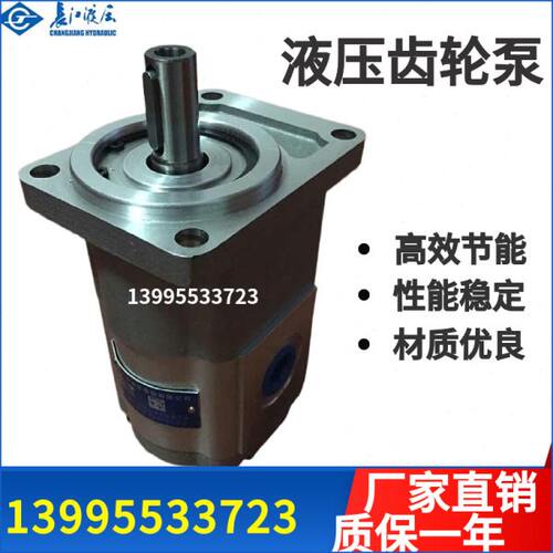 合肥长源液压马达CMK1016-B1DS齿轮泵（马达CMK1025(04/06)-B1DS